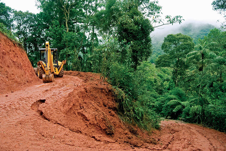 Deforestation in progress