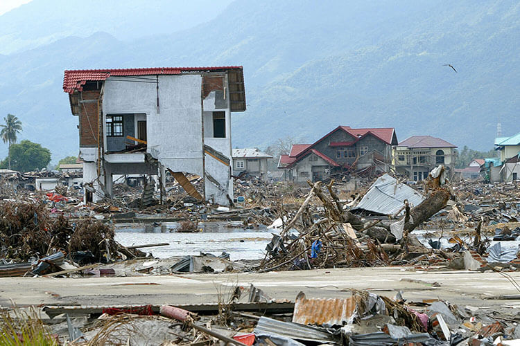 Tsunami aftermath